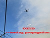 OZ1D Image